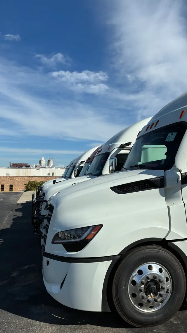 White BILATO trucks at the yard